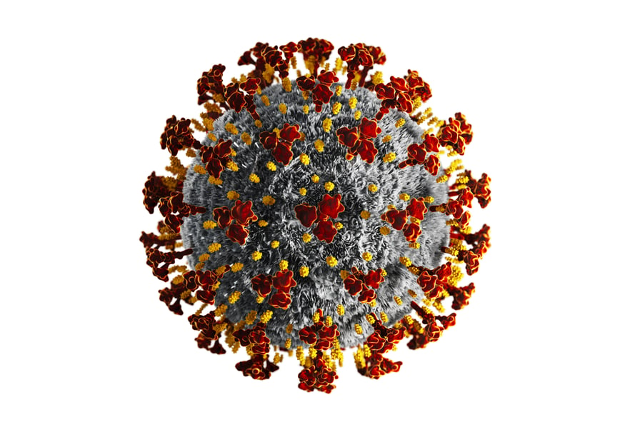 Штаммы коронавируса мире. Coronavirus(Covid 19) стенды. Вирус коронавирус 3д. Коронавирус молекула. Модель коронавируса Covid-19.